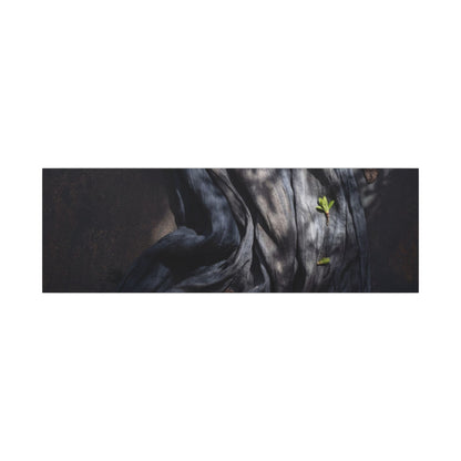 Seijaku Silk Drape Canvas Art - Dark Japandi Dark Texture