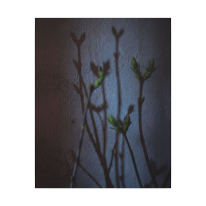 Shadow Play Spring Canvas Art | Dark Japandi Sophisticated Design