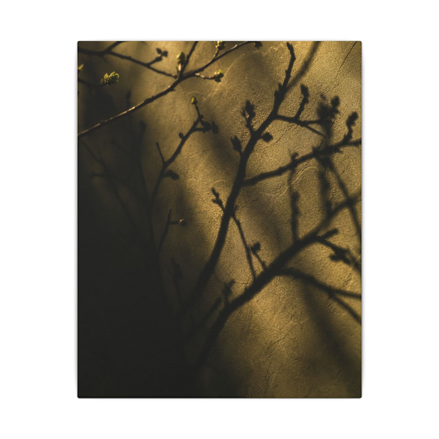 Golden Hour Shadow Play Canvas Art - Dark Japandi Seijaku