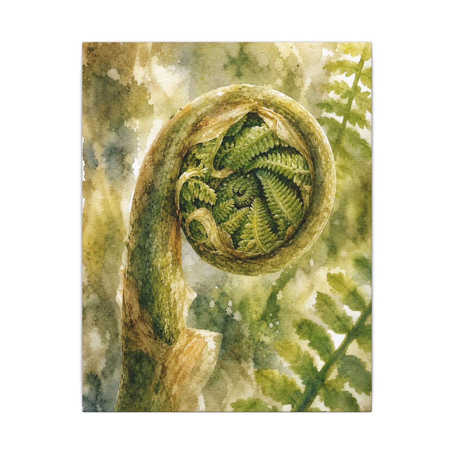 Japandi Fern Unfurling in Dappled | Watercolor Canvas Art