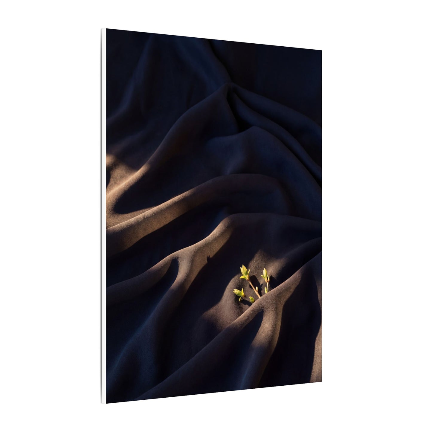 Silk Drape Shadow Zen Canvas Art | Luxurious Dark Japandi Art
