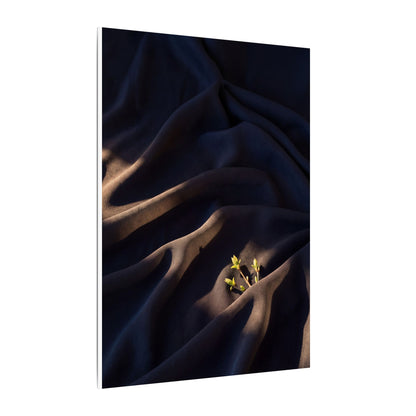 Silk Drape Shadow Zen Canvas Art | Luxurious Dark Japandi Art
