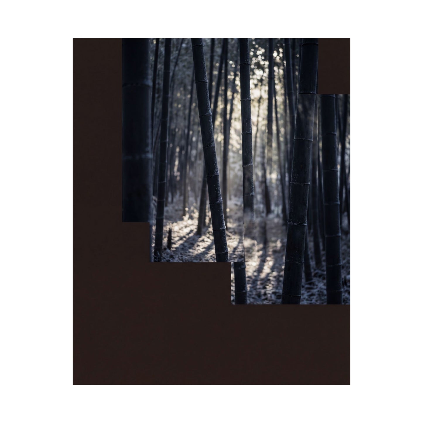 Ma Bamboo Grove Wall Art Print - Dark Japandi Moody Minimal