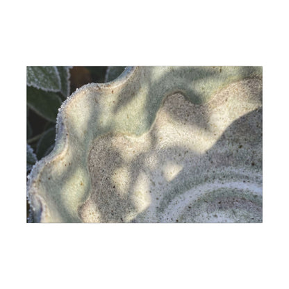 Dappled Ceramic Bowl Canvas Art - Japandi Seijaku Art Print