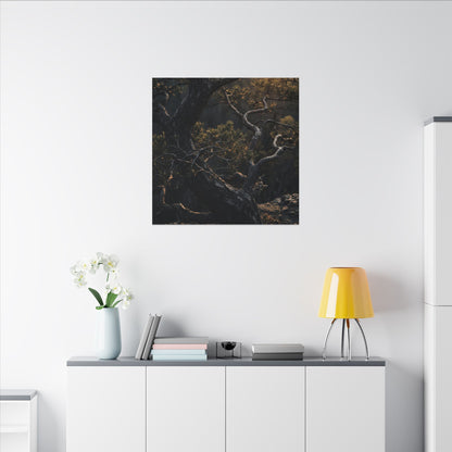 Moody Pine Tree Canvas Art - Moody Minimal Dark Japandi