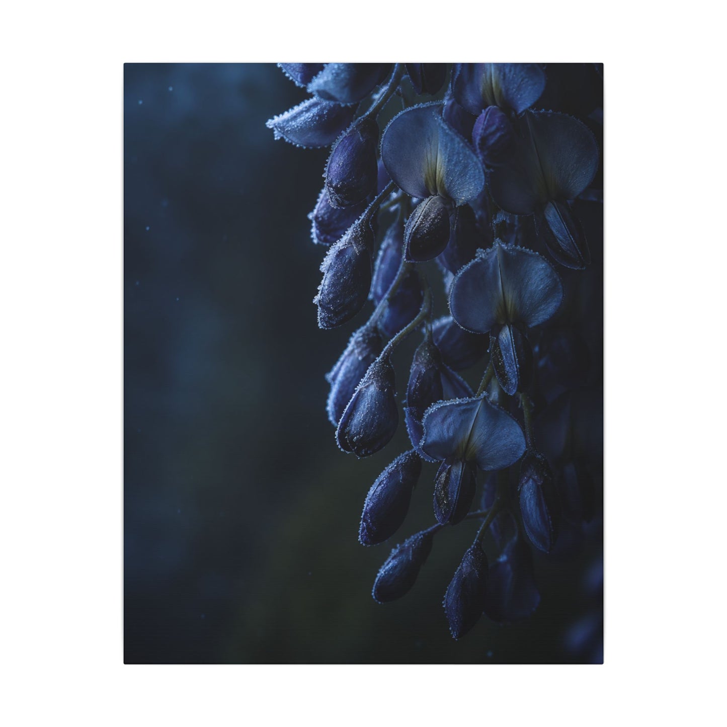 Winter Wisteria Shadow Zen Canvas Art | Atmospheric Decor