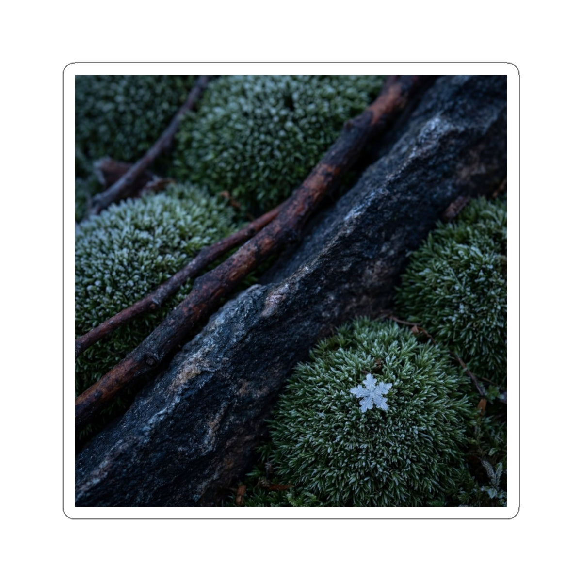 Luxurious Moss Close Up Sticker - Moody Minimal Dark Japandi Art Print