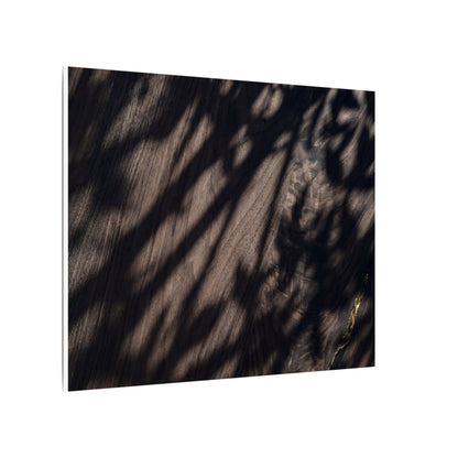 Shadow Play Summer Canvas Art | Dark Japandi Moody Design