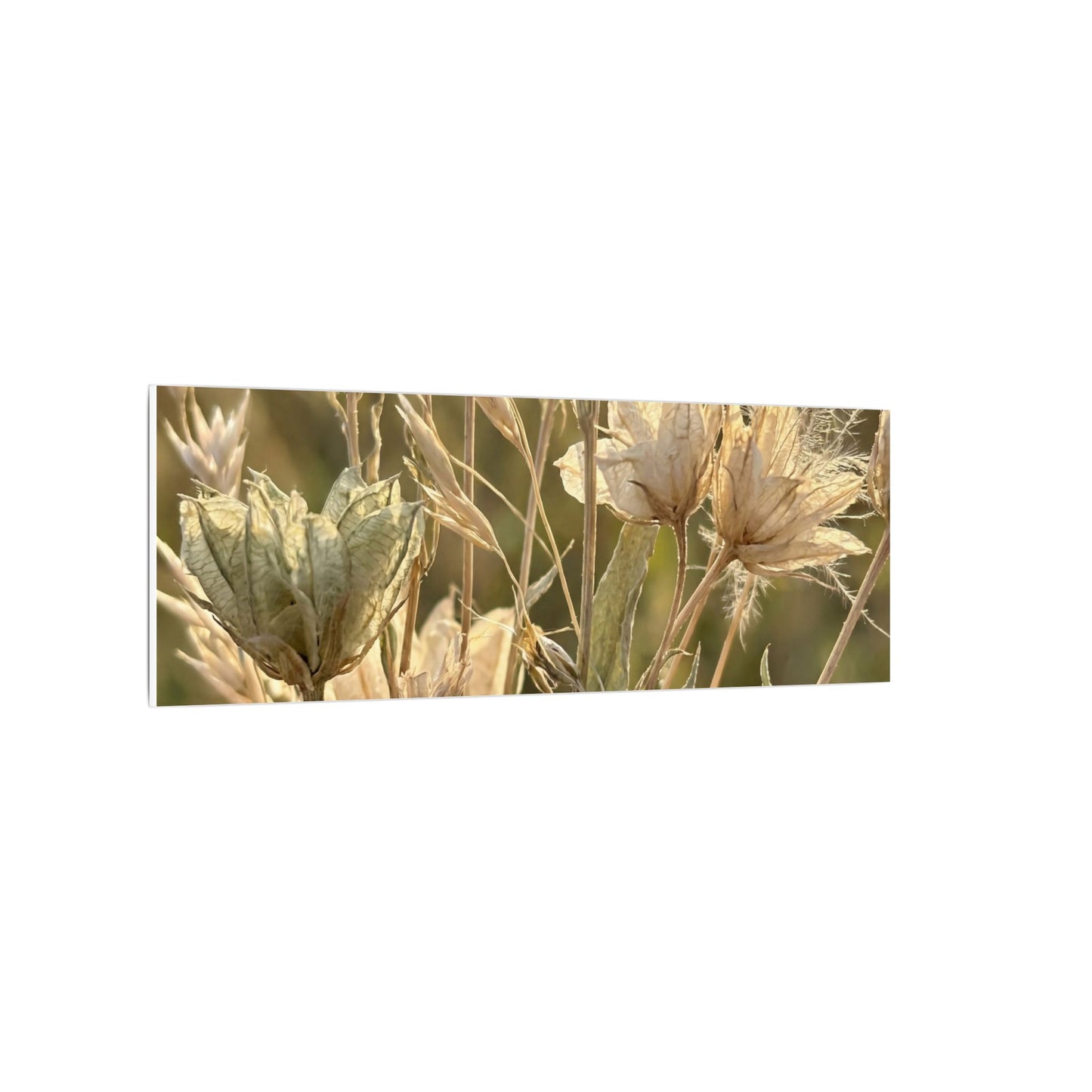 Summer Dried Flowers Minimal Line Canvas Art | Cozy Decor
