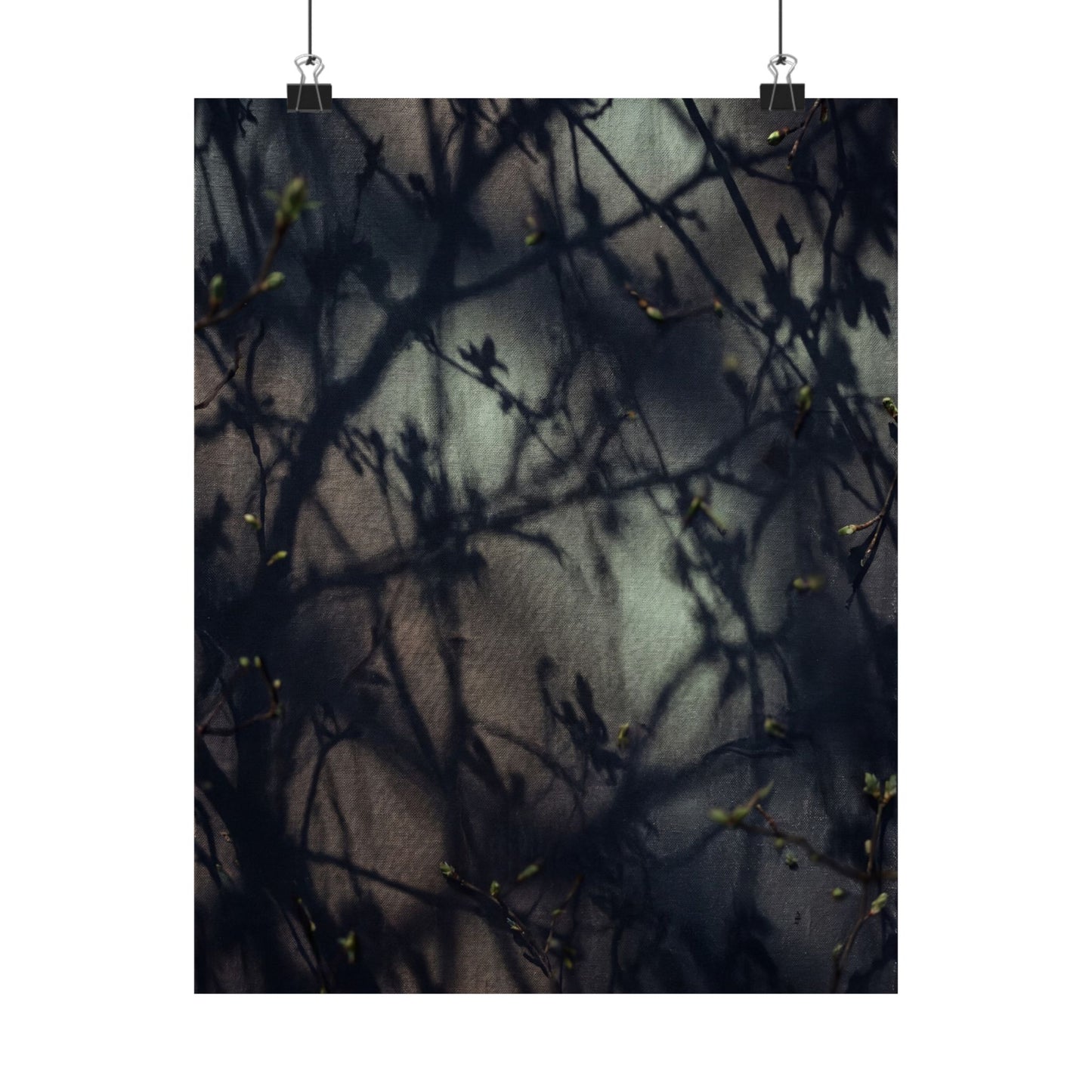 Spring Shadow Play Moody Minimal Wall Art Print | Sophisticated Decor