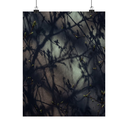 Spring Shadow Play Moody Minimal Wall Art Print | Sophisticated Decor