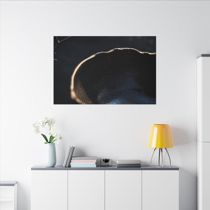 Ma Ceramic Bowl Canvas Art - Dark Japandi Shadow Zen