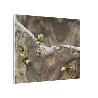 Overcast Ceramic Bowl Canvas Art - Japandi Fukinsei