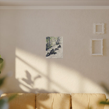 Dappled Rock Garden Canvas Art - Zen Mono No Aware