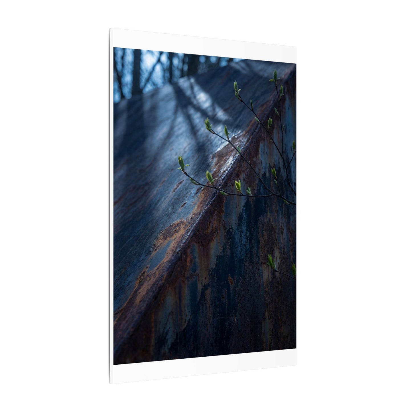 Rust Patina Canvas Art | Spring Dark Japandi Shadow Zen Art