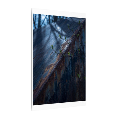 Rust Patina Canvas Art | Spring Dark Japandi Shadow Zen Art