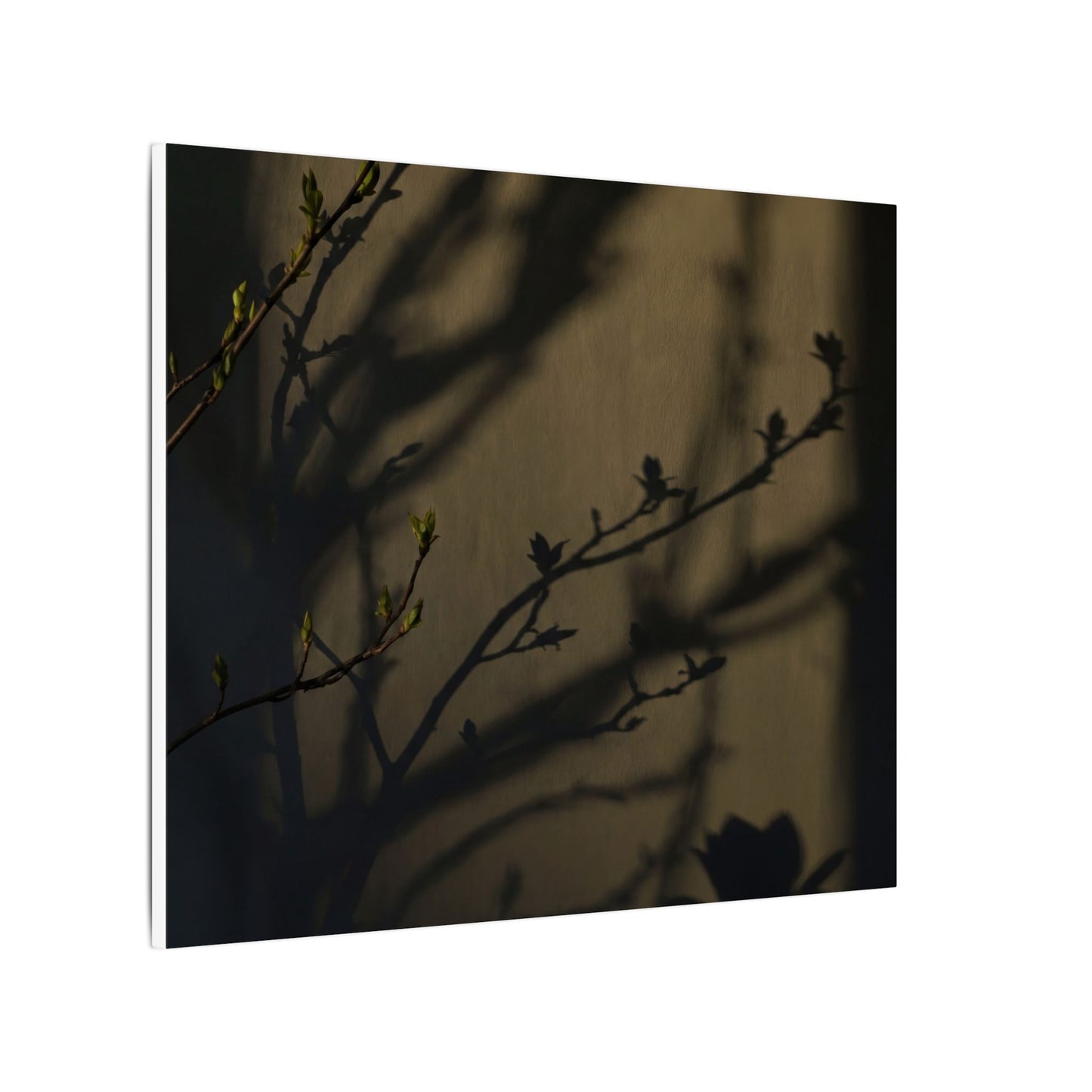 Seijaku Shadow Play Canvas Art - Dark Japandi Charcoal Ink