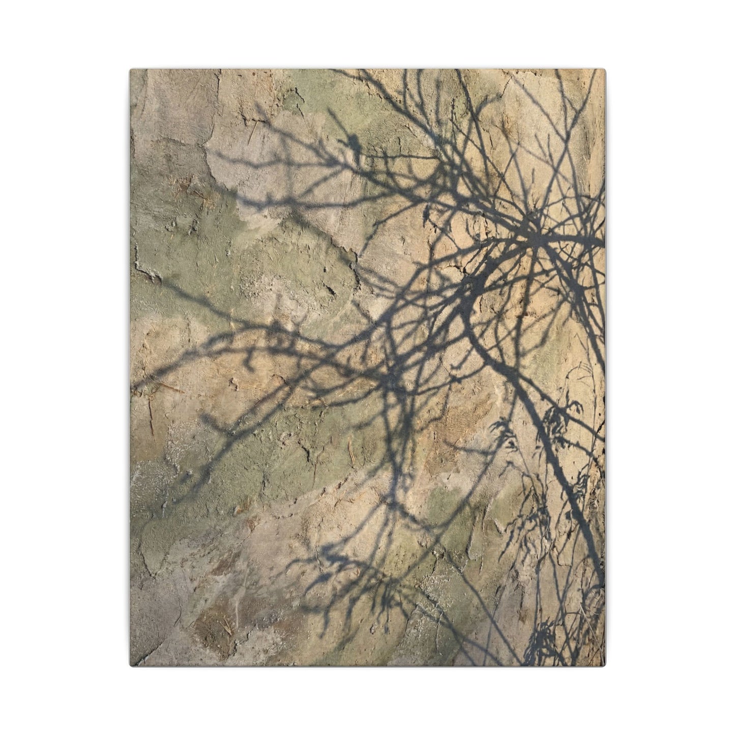Japandi Shadow Play in Golden Hour | Texture Canvas Art