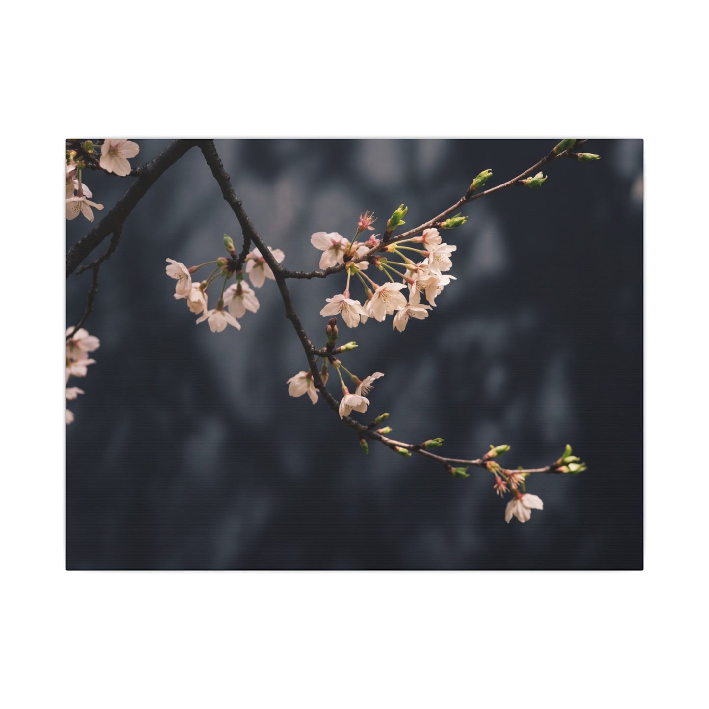 Cherry Blossom Moody Minimal Canvas Art | Bold Dark Japandi Art