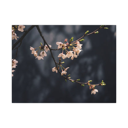 Cherry Blossom Moody Minimal Canvas Art | Bold Dark Japandi Art