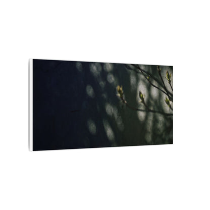 Dark Japandi Shoji Screen in Dappled | Moody Minimal Canvas Art