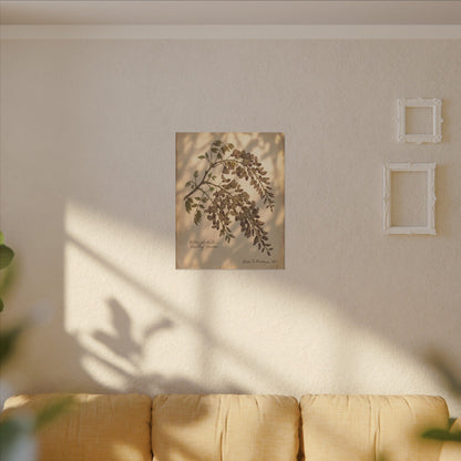 Spring Wisteria Herbarium Canvas Art | Earthy Decor