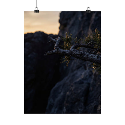 Pine Tree Moody Minimal Wall Art Print | Luxurious Dark Japandi Art Art Print