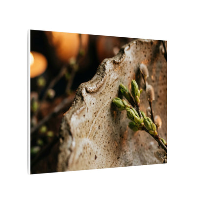 Overcast Ceramic Bowl Canvas Art - Japandi Ma