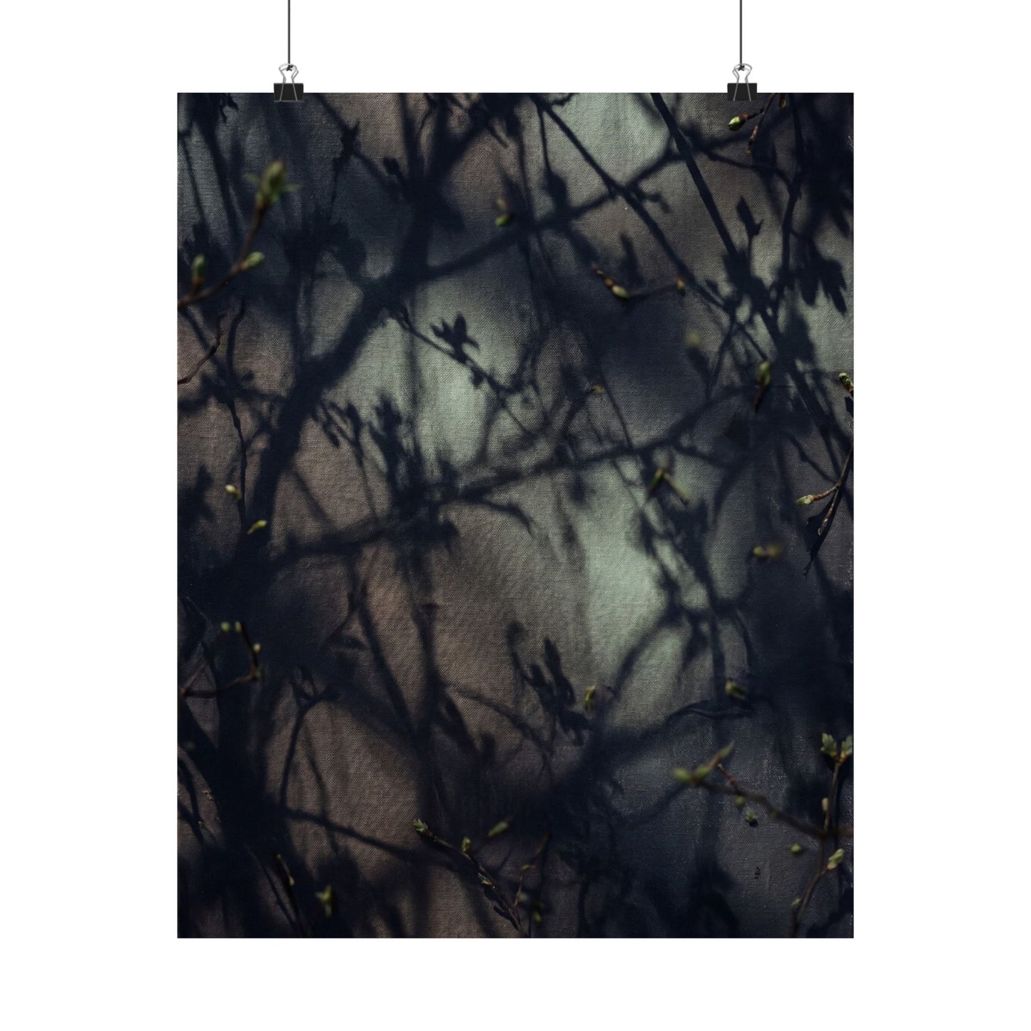 Spring Shadow Play Moody Minimal Wall Art Print | Sophisticated Decor