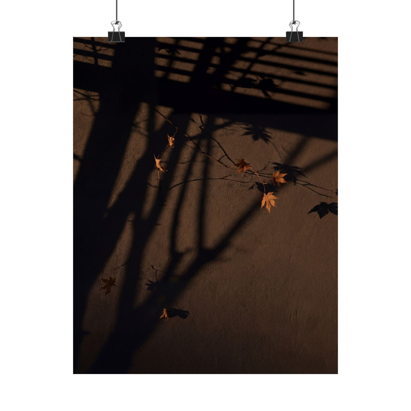 Autumn Shadow Play Shadow Zen Wall Art Print | Sophisticated Decor Art Print