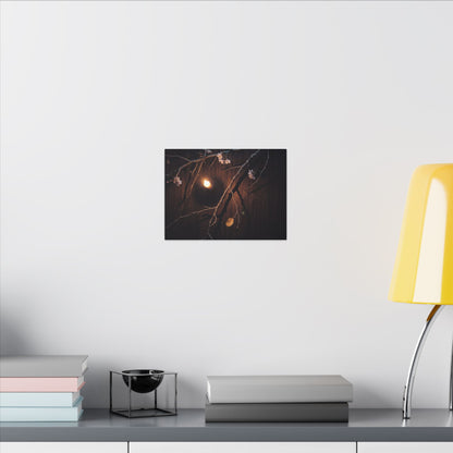 Datsuzoku Cherry Blossom Canvas Art - Dark Japandi Moody Minimal