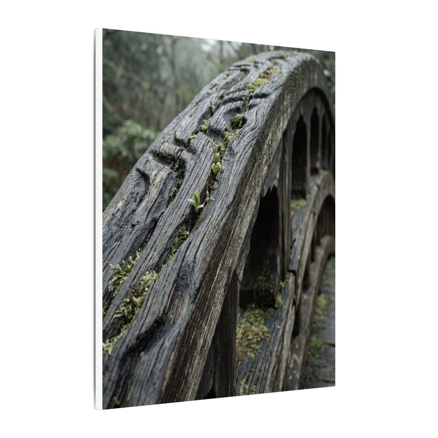 Overcast Wooden Bridge Canvas Art - Japandi Kanso