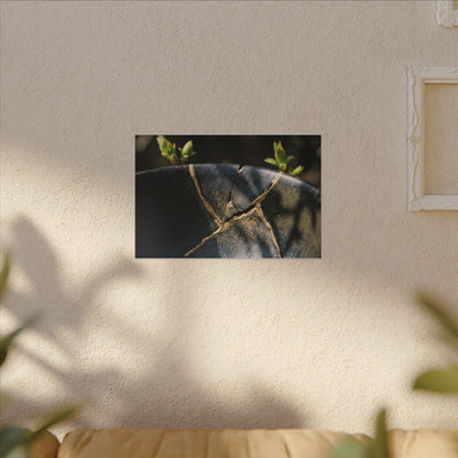 Seijaku Broken Pottery Canvas Art - Dark Japandi Shadow Zen