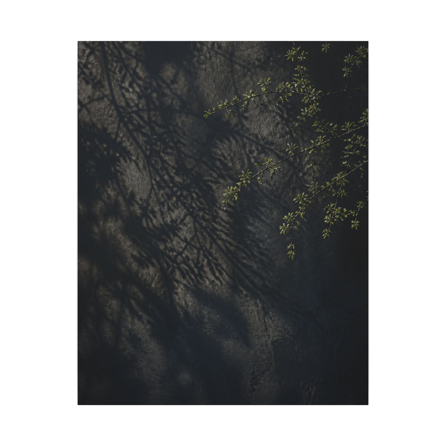 Overcast Shadow Play Canvas Art - Dark Japandi Seijaku