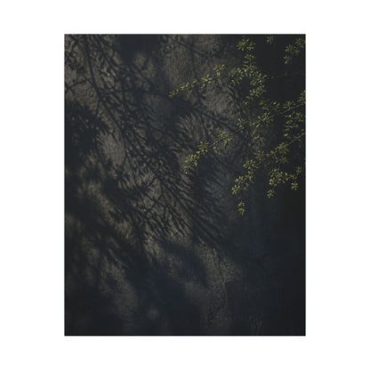 Overcast Shadow Play Canvas Art - Dark Japandi Seijaku