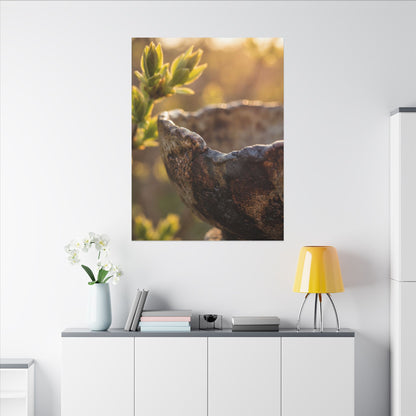 Golden Hour Ceramic Bowl Canvas Art - Dark Japandi Ma
