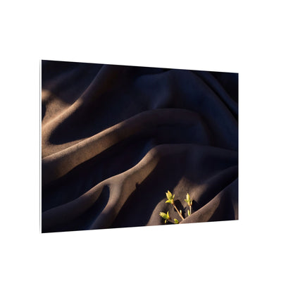 Silk Drape Shadow Zen Canvas Art | Luxurious Dark Japandi Art