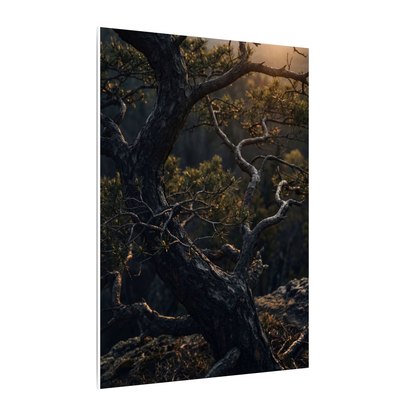 Moody Pine Tree Canvas Art - Moody Minimal Dark Japandi