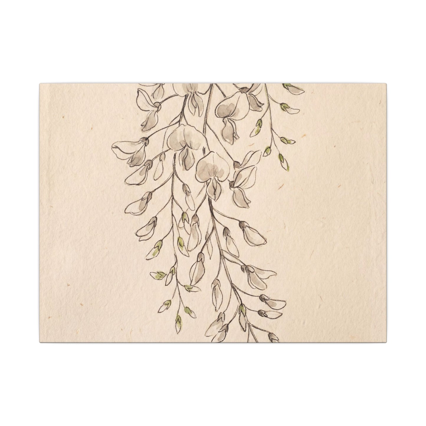 Japandi Wisteria in Golden Hour | Minimal Line Canvas Art Art Print