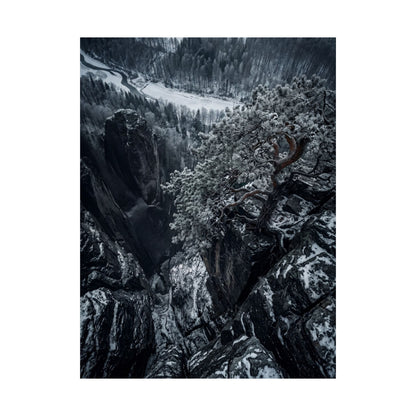 Pine Tree Wall Art Print | Winter Dark Japandi Dark Texture Art