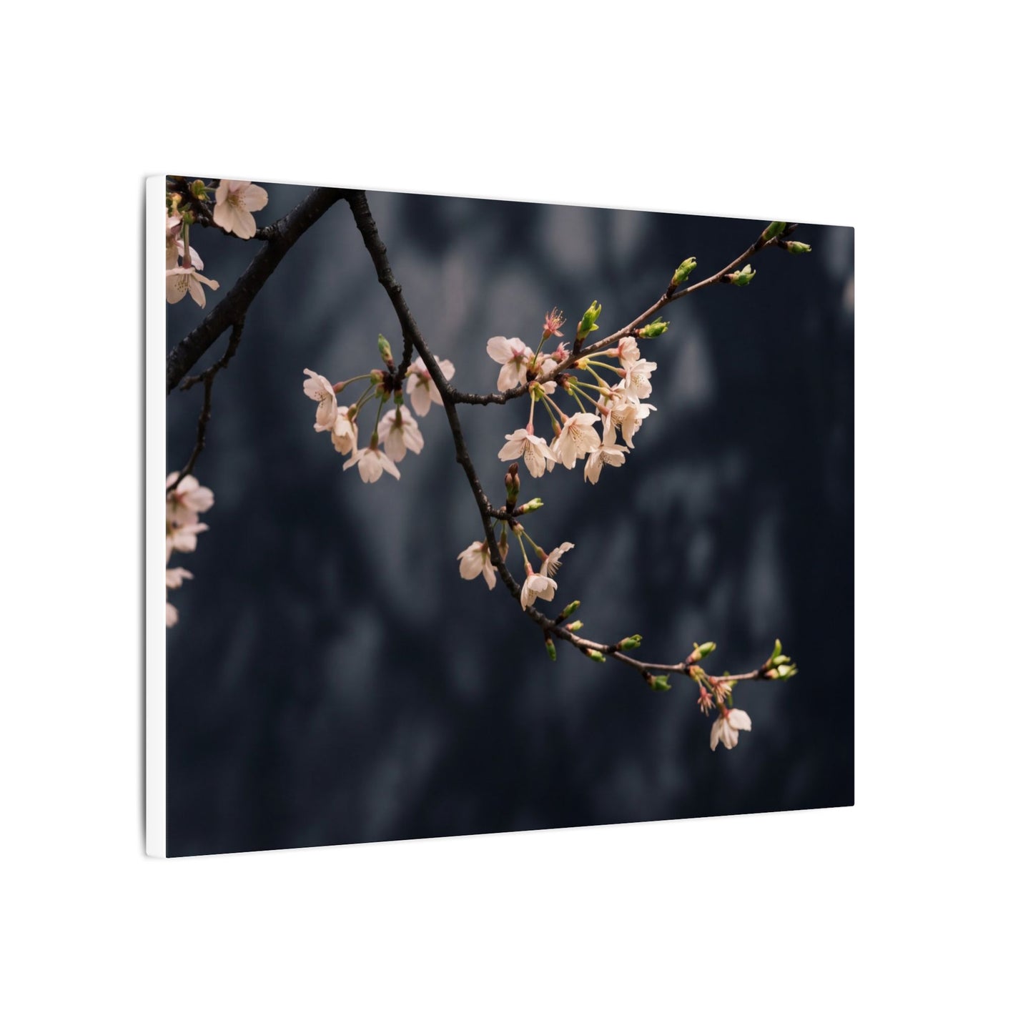 Cherry Blossom Moody Minimal Canvas Art | Bold Dark Japandi Art