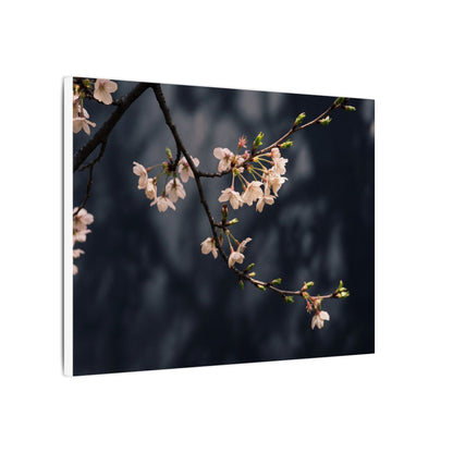Cherry Blossom Moody Minimal Canvas Art | Bold Dark Japandi Art