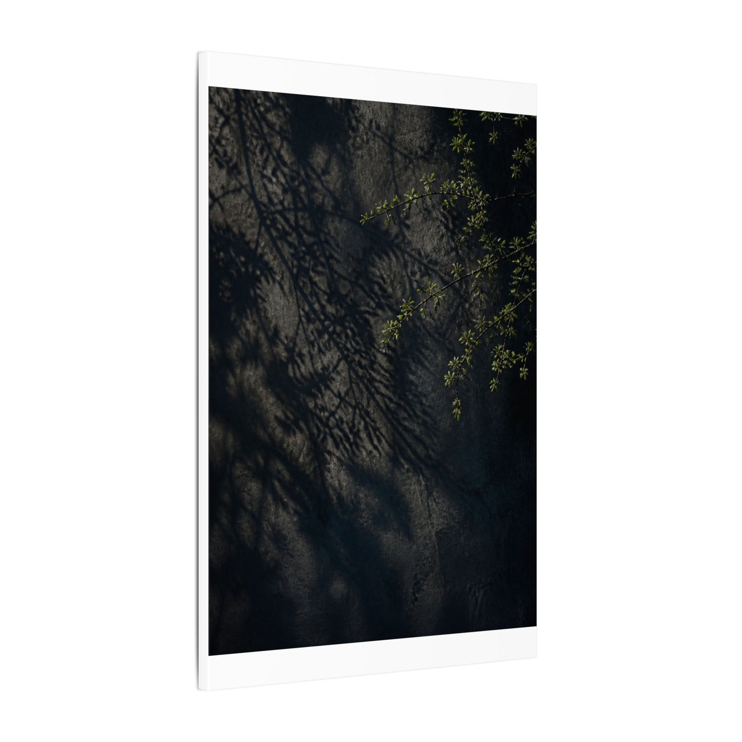 Overcast Shadow Play Canvas Art - Dark Japandi Seijaku