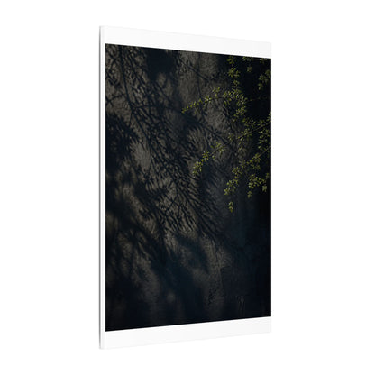 Overcast Shadow Play Canvas Art - Dark Japandi Seijaku