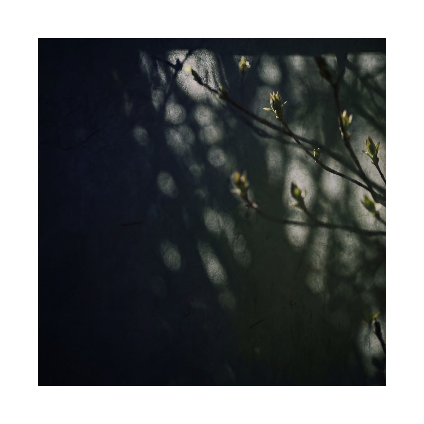 Shoji Screen Wall Art Print | Spring Dark Japandi Moody Minimal Art