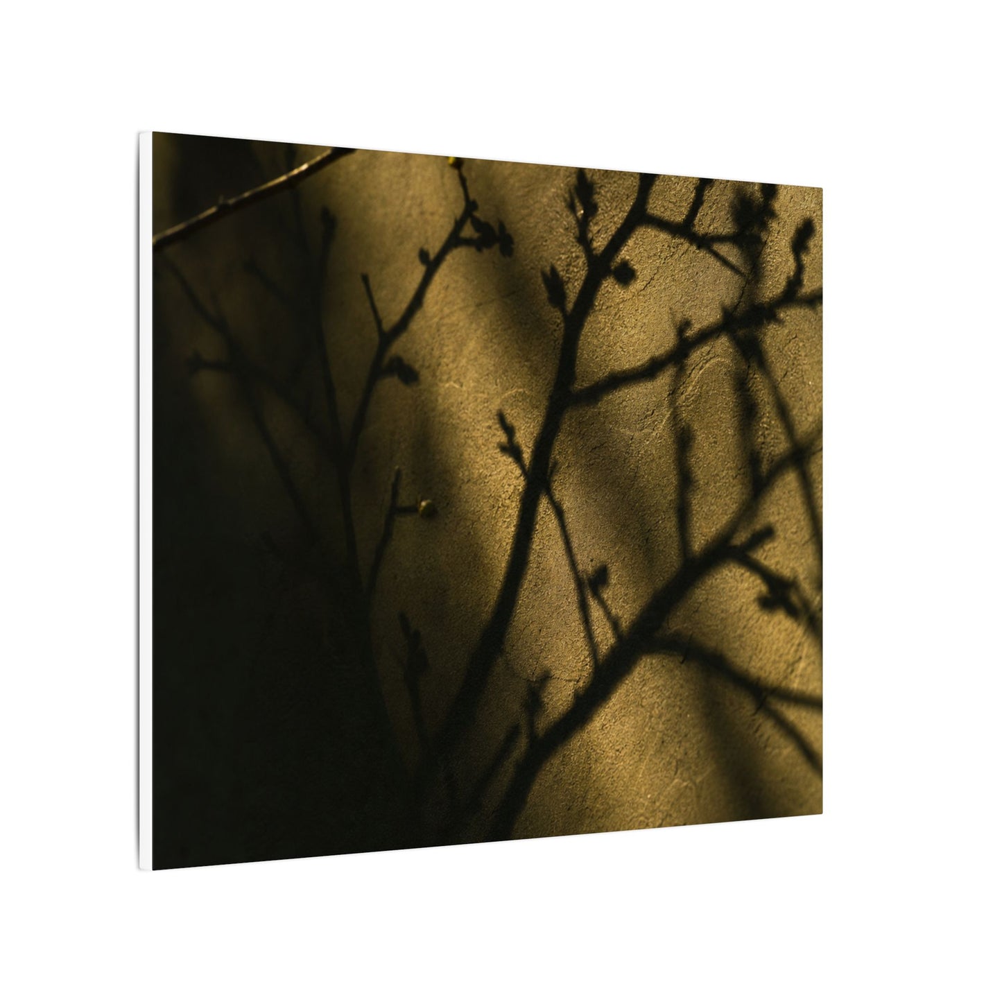Golden Hour Shadow Play Canvas Art - Dark Japandi Seijaku