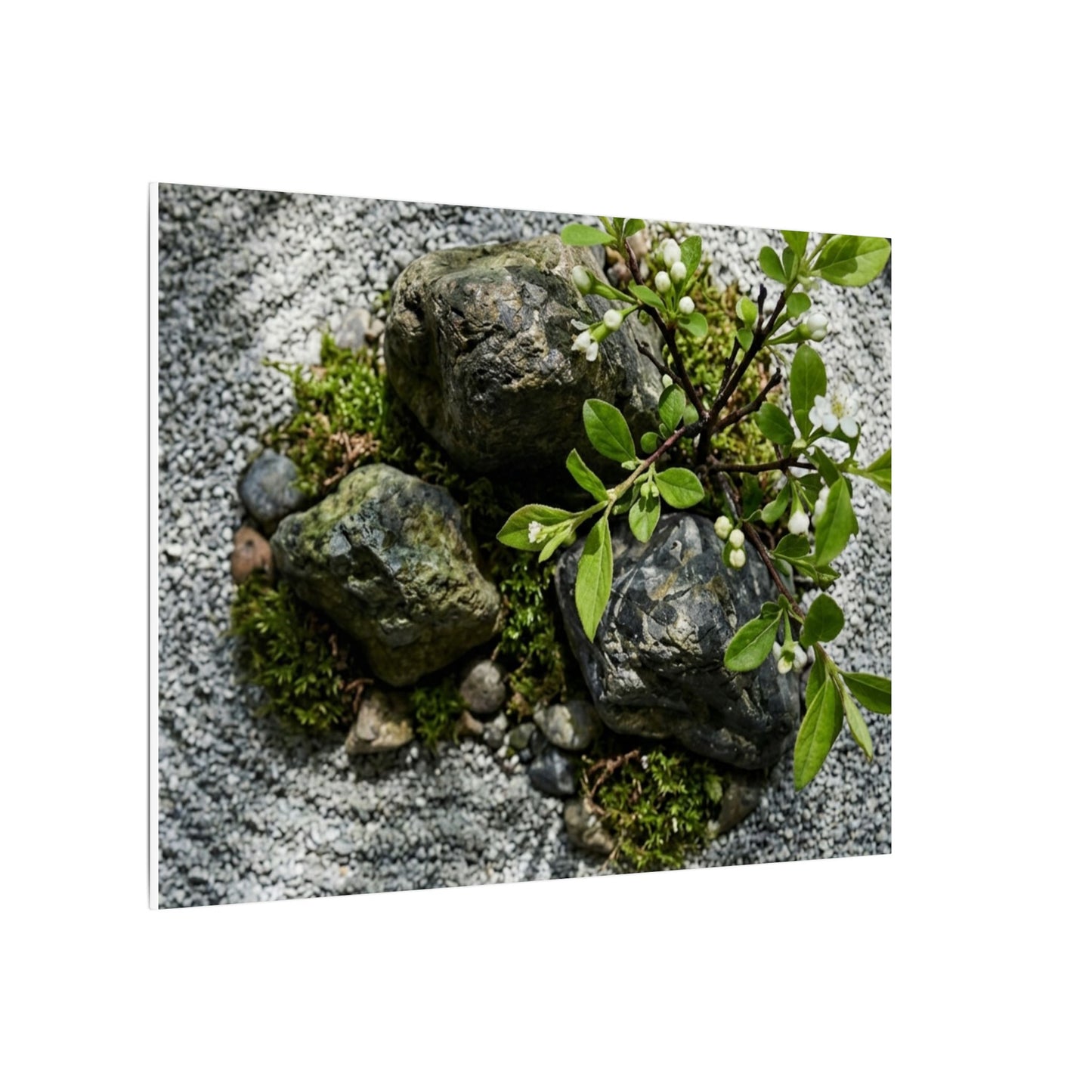 Zen Ceramic Bowl in Dappled | Karesansui Canvas Art