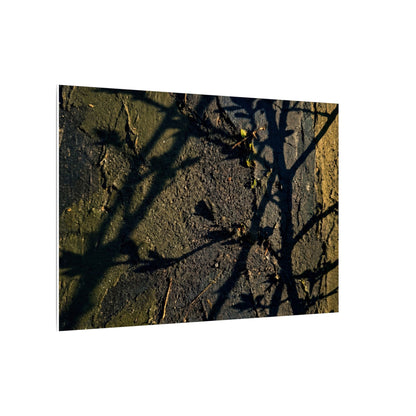 Kanso Shadow Play Canvas Art - Dark Japandi Dark Texture
