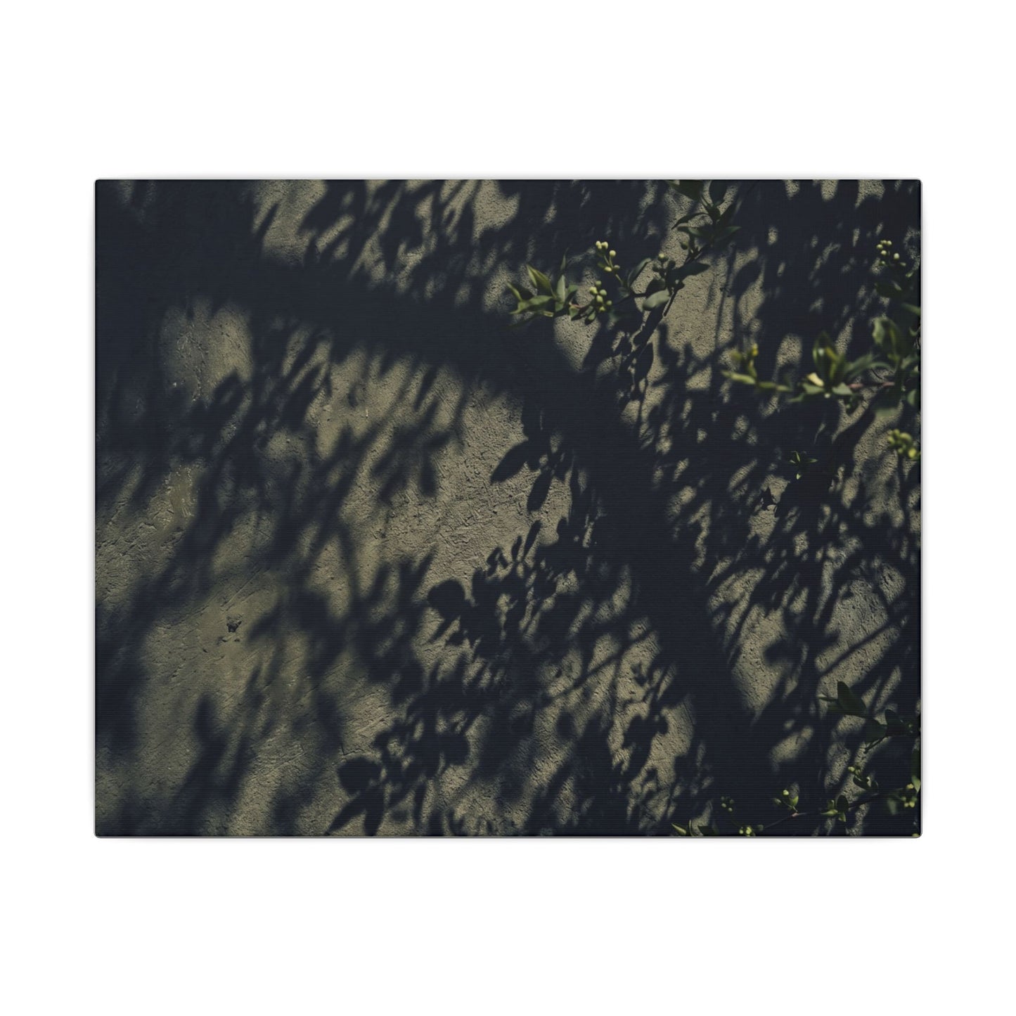 Atmospheric Shadow Play Canvas Art - Moody Minimal Dark Japandi