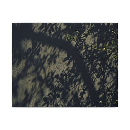 Atmospheric Shadow Play Canvas Art - Moody Minimal Dark Japandi